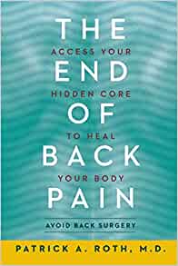 the end of back pain book cover by patrick roth