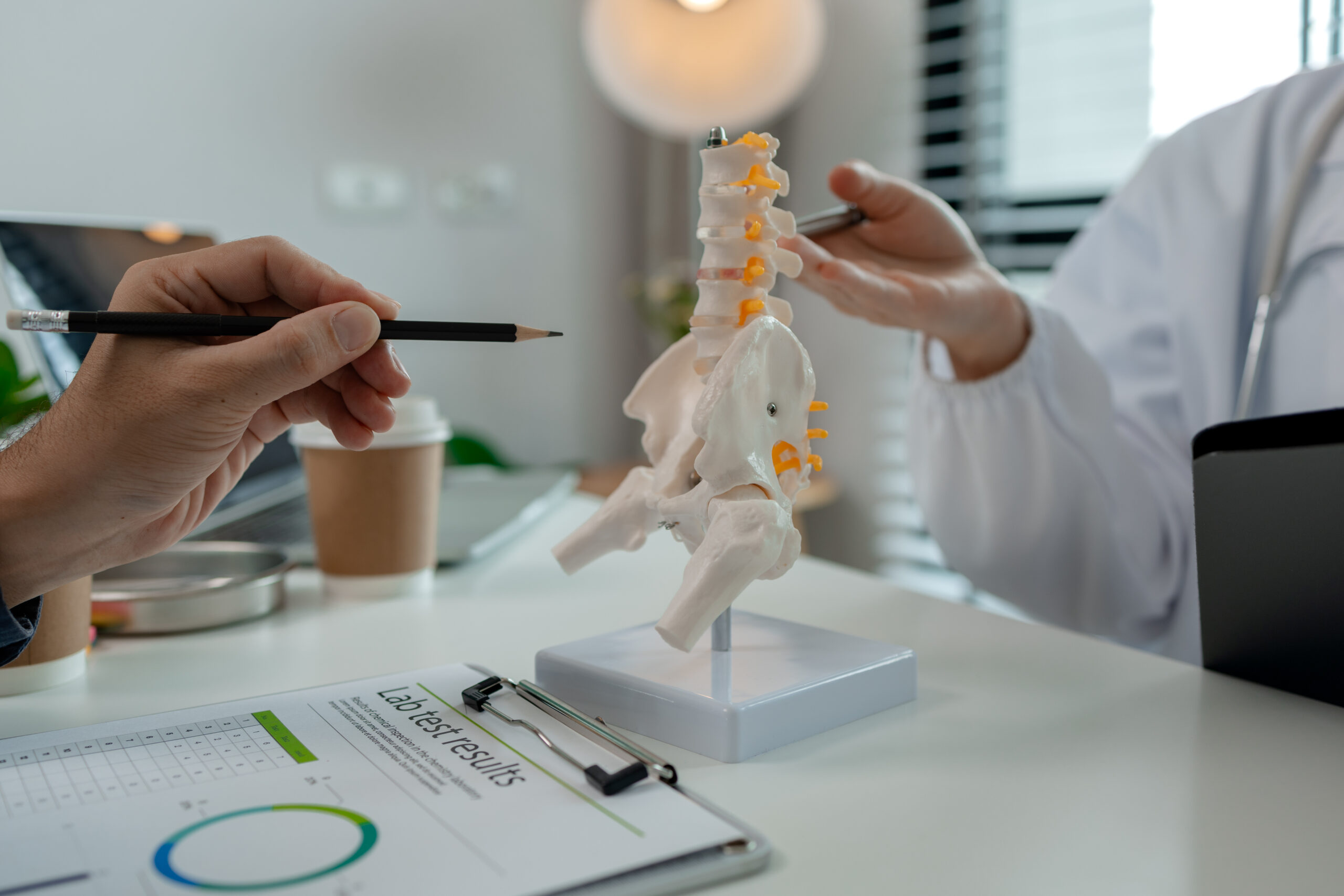 Two healthcare professionals discussing a spinal model on a desk, using pencils to point out details.