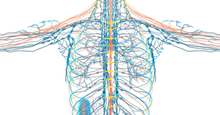 Radiculopathy nerve pain patterns explained by New Jersey Brain and Spine neurosurgeons