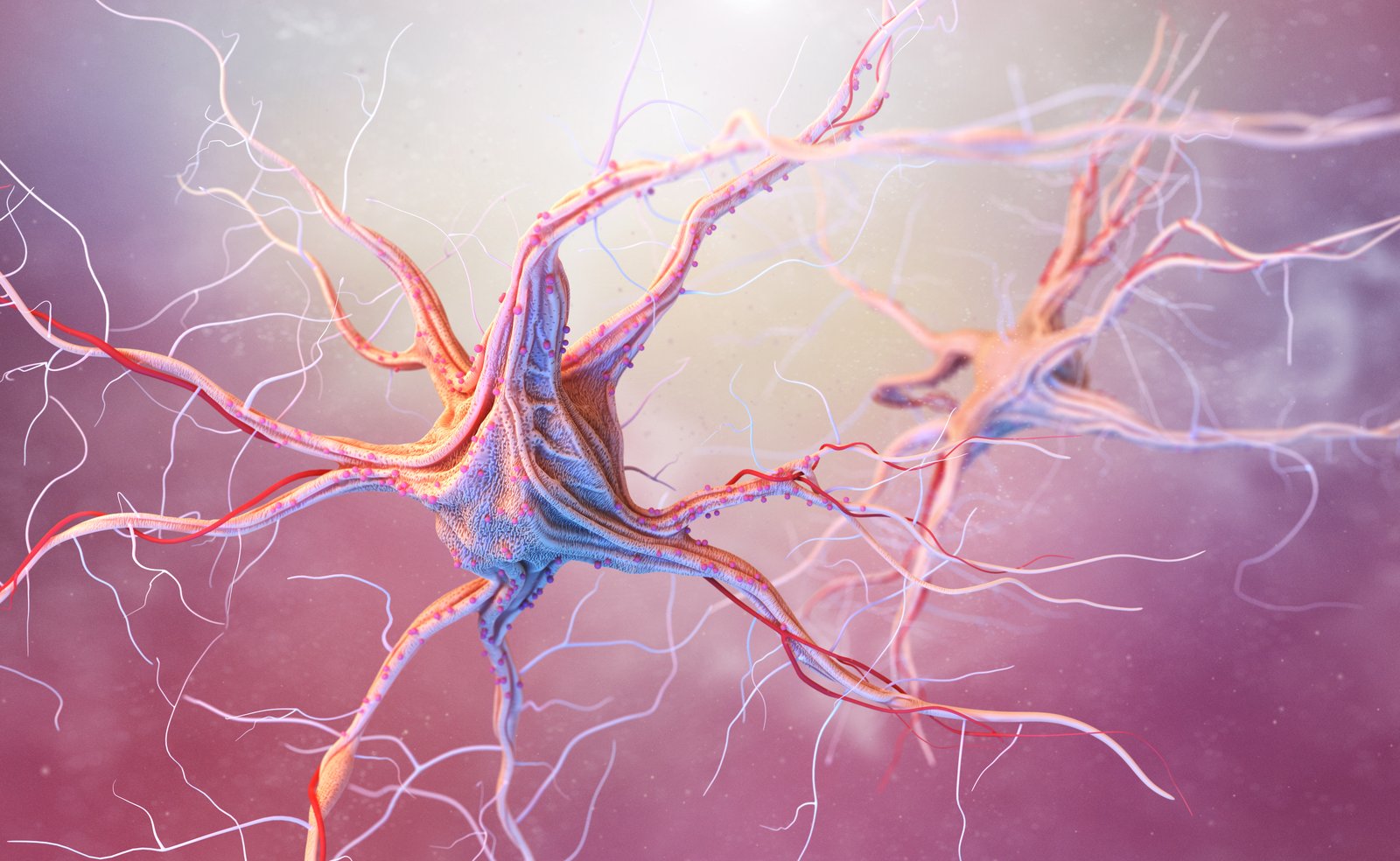 Deep brain stimulation for Parkinson's disease and essential tremor, New Jersey Brain and Spine
